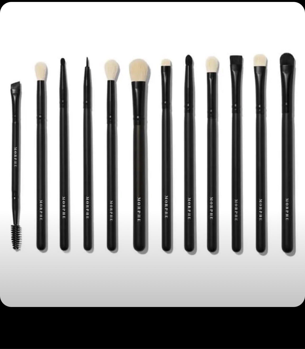 morphe eye obsessed brush collection
