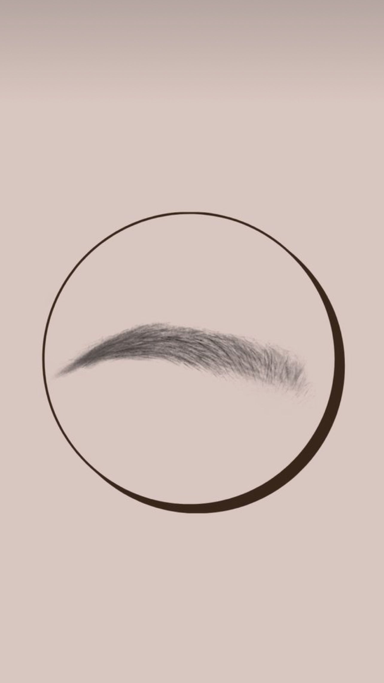 sourcil
