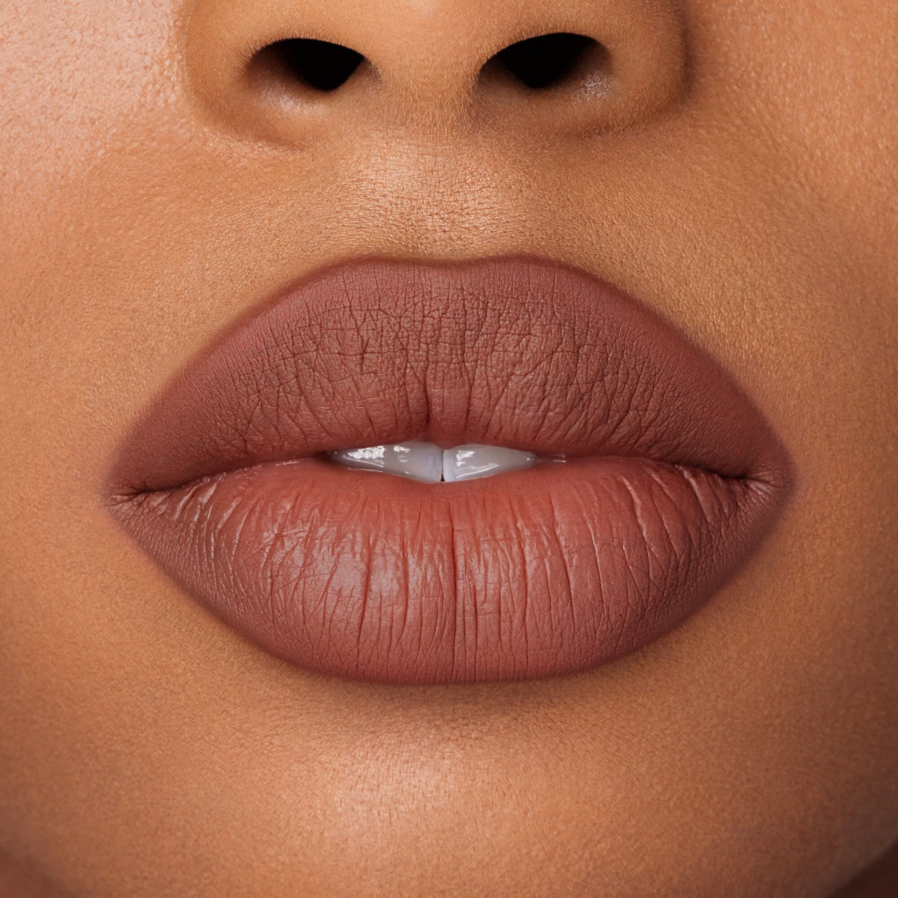 Anastasia Beverly Hills Pout Master Sculpted Lip Duo